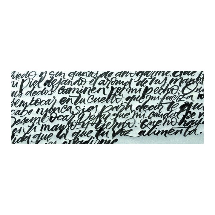 Reserva para el Curso de Aerografía Nivel Iniciación