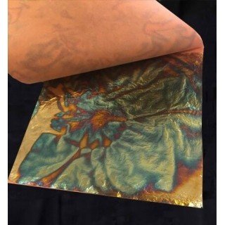 Pan de Oro Variegated Azul 25 hojas. Gold Leaf Blue Variegated