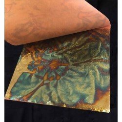 Pan de Oro Variegated Azul (Gold Leaf Blue Variegated)