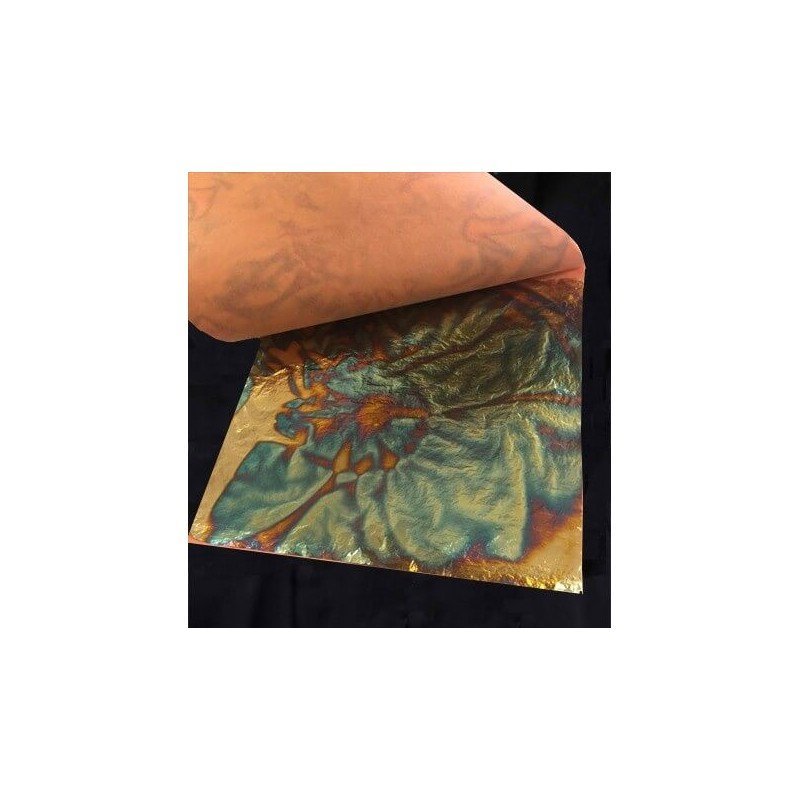 Pan de Oro Variegated Azul (Gold Leaf Blue Variegated)