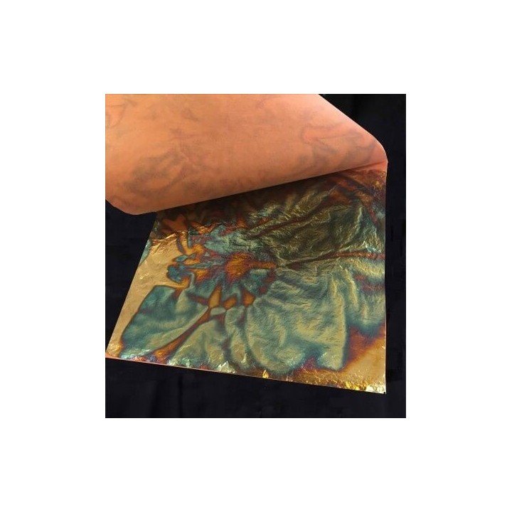 Pan de Oro Variegated Azul (Gold Leaf Blue Variegated)