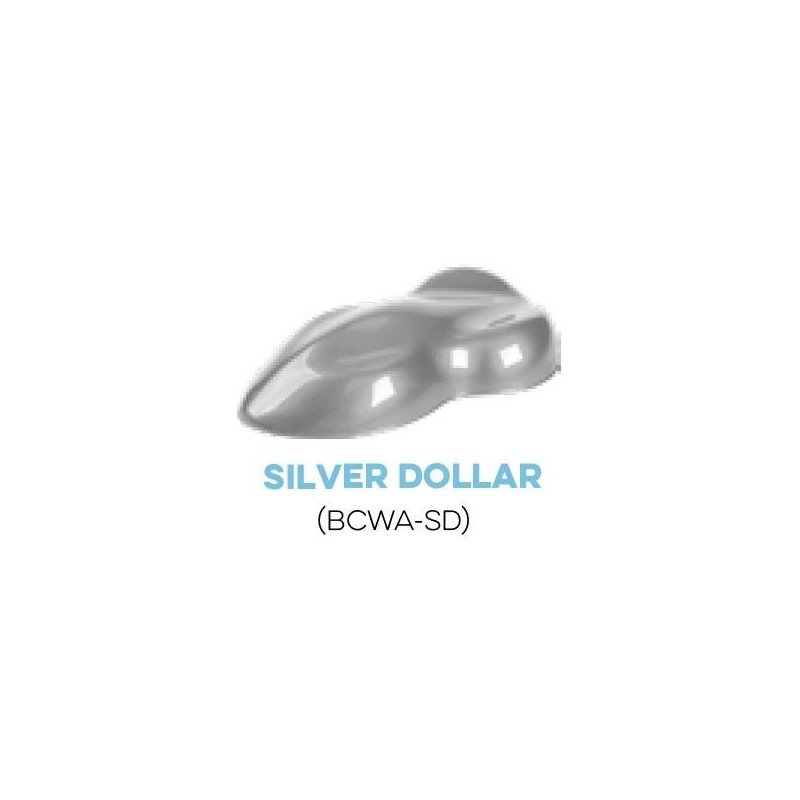 Metallic Silver Dollar Water Base Paint for airbrush. Custom Creative