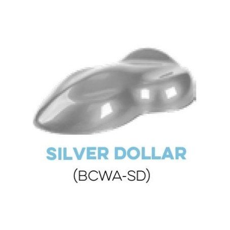 Metallic Silver Dollar Water Base Paint for airbrush. Custom Creative