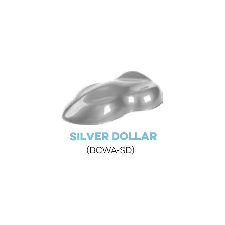 Metallic Silver Dollar Water Base Paint for airbrush. Custom Creative